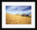 Wheat Field Surrounding Barn by Anonymous