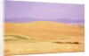 Rolling Wheat Fields by Anonymous