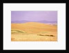 Rolling Wheat Fields by Anonymous
