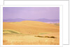 Rolling Wheat Fields by Anonymous