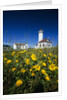 Wildflowers Blooming Near Lighthouse by Anonymous