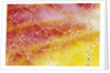 Dew Collecting on Spider Web by Anonymous