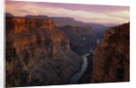 Colorado River in the Grand Canyon by Anonymous