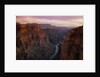 Colorado River in the Grand Canyon by Anonymous