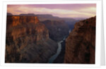 Colorado River in the Grand Canyon by Anonymous