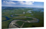 Tundra in Alaska by Anonymous