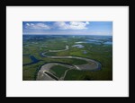 Tundra in Alaska by Anonymous