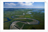 Tundra in Alaska by Anonymous