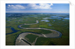 Tundra in Alaska by Anonymous