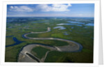 Tundra in Alaska by Anonymous