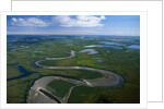 Tundra in Alaska by Anonymous