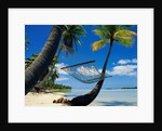 Hammock Hanging Seaside by Anonymous