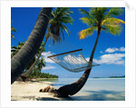 Hammock Hanging Seaside by Anonymous