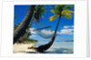 Hammock Hanging Seaside by Anonymous