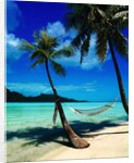 Hammock Hanging Seaside by Corbis