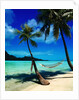 Hammock Hanging Seaside by Anonymous