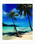 Hammock Hanging Seaside by Anonymous