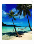 Hammock Hanging Seaside by Corbis