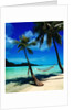 Hammock Hanging Seaside by Anonymous