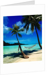 Hammock Hanging Seaside by Anonymous