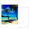 Hammock Hanging Seaside by Anonymous