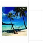 Hammock Hanging Seaside by Anonymous