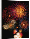 Night Sky Filled with Fireworks by Anonymous