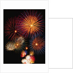 Night Sky Filled with Fireworks by Anonymous