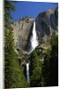 Yosemite Falls by Anonymous
