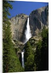 Yosemite Falls by Anonymous