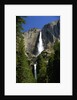 Yosemite Falls by Anonymous