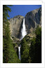 Yosemite Falls by Anonymous