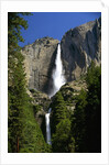 Yosemite Falls by Anonymous
