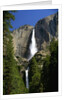 Yosemite Falls by Anonymous