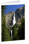 Yosemite Falls by Anonymous