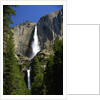 Yosemite Falls by Anonymous
