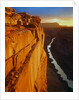 Grand Canyon at Sunset by Anonymous