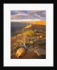 Rocks and Shrubs at the Grand Canyon by Anonymous
