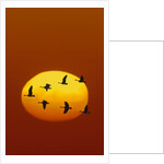 Canada Geese Flying in Formation by Anonymous