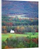 Rural Setting in Great Smoky Mountains by Anonymous