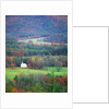 Rural Setting in Great Smoky Mountains by Anonymous