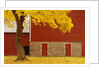 Autumn Tree by Red Barn by Anonymous