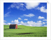 Old Barn Amidst Pea Field by Anonymous