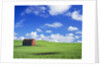Old Barn Amidst Pea Field by Anonymous