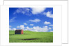Old Barn Amidst Pea Field by Anonymous