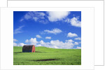 Old Barn Amidst Pea Field by Anonymous
