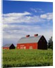 Old Red Barn in Field by Anonymous