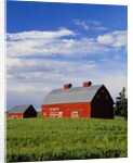 Old Red Barn in Field by Anonymous