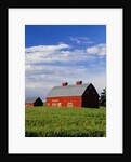 Old Red Barn in Field by Anonymous