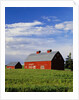 Old Red Barn in Field by Anonymous